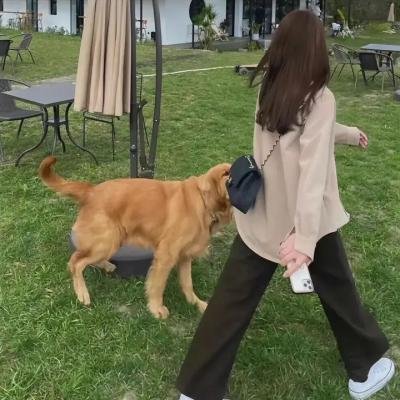 灵欲春宵