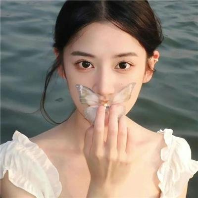 虎鹤双行